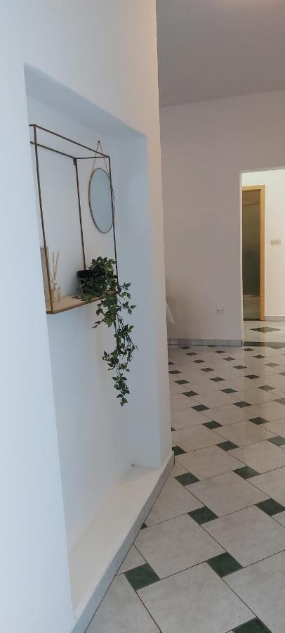 Apartman Marin - Zadar Exterior foto
